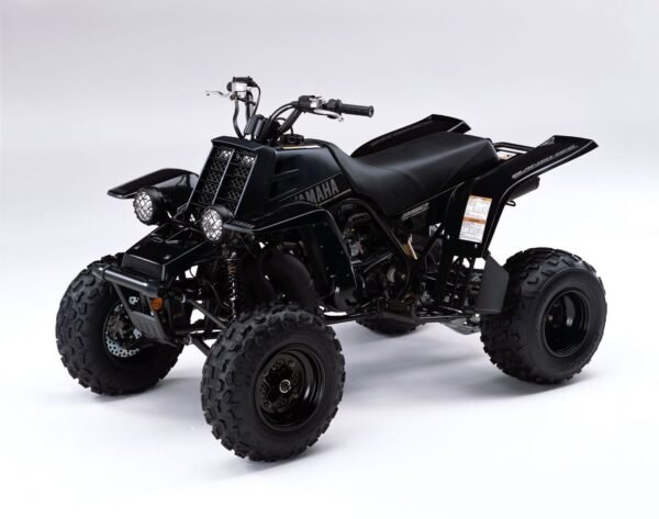 YAMAHA BANSHEE 350 2005 SE - Image 6