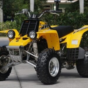 2006 Yamaha Banshee 350 50th Anniversary Edition